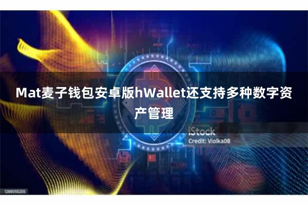 Mat麦子钱包安卓版hWallet还支持多种数字资产管理